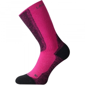 Шкарпетки Lasting WSM - фото