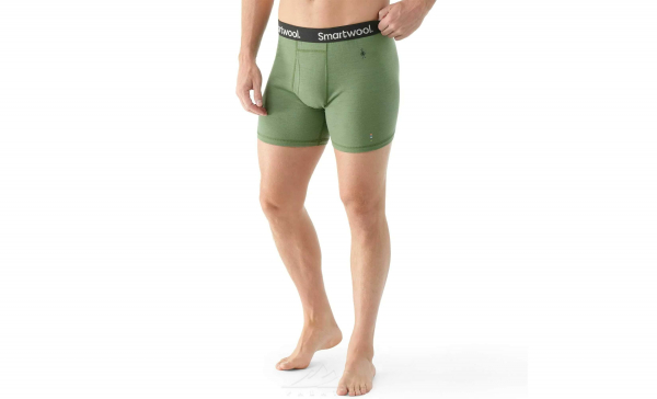 Труси чоловічі Men's Merino Boxer Brief Boxed - фото