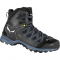 Черевики Salewa MS MTN Trainer Lite MID GTX - фото-1