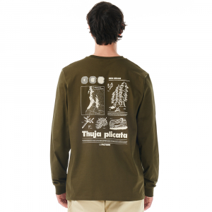 Picture Organic реглан Pembroke LS tobacco washed M - фото