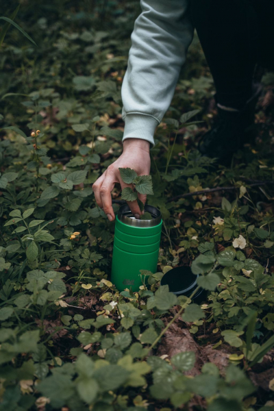 Термос для їжі Esbit FJS550TL-AG - фото