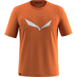 Футболка Salewa Solidlogo Dri-Release - фото