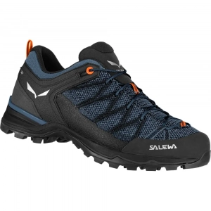 Кросівки Salewa MS MTN Trainer Lite - фото