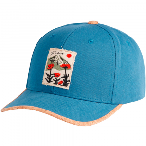 Picture Organic кепка Wakopa BB serenity blue - фото