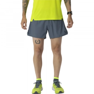 Шорти Dynafit Sky Shorts Mns - фото