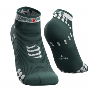 CS Шкарпетки Pro Racing Socks V3.0 Run Low, Silver Pine/White, T1 - фото