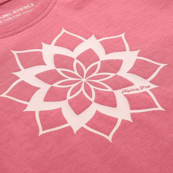 Футболка Alpine Pro Ecomo 2 - фото