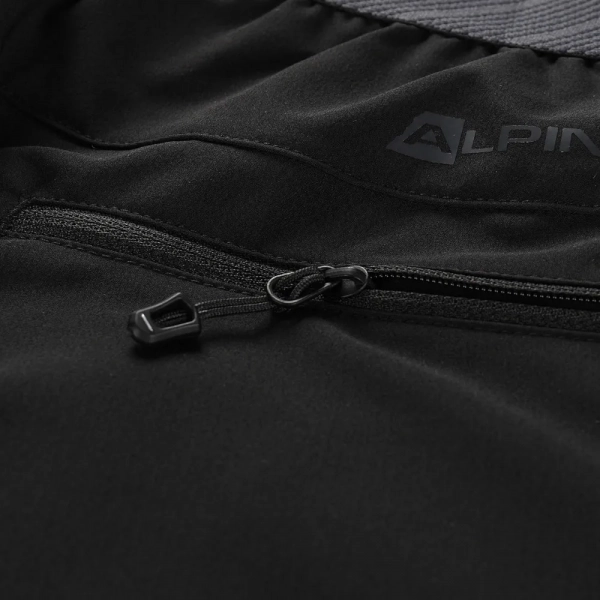Штани Alpine Pro Ramel 2 Mns - фото