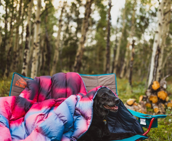 Ковдра Kelty Galactic, cathay spice-atmosphere - фото