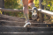 Шкарпетки Buff Dryflx Crew Socks - фото-9