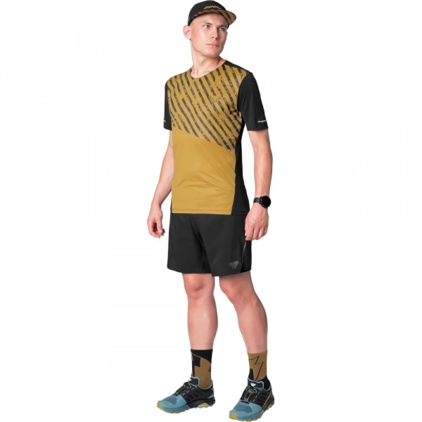 Шорти Dynafit Alpine Pro 2/1 Mns - фото