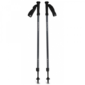 Палки трекінгові Black Diamond Explorer 2 - фото