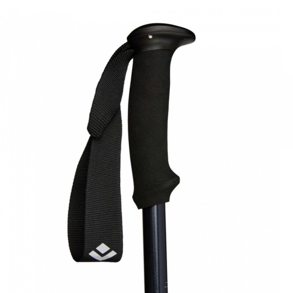 Палки трекінгові Black Diamond Explorer 2 - фото