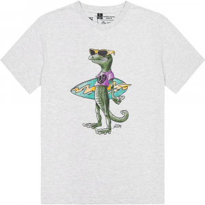 Футболка чоловіча Picture Organic Jecko - фото