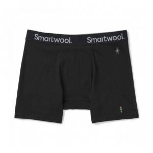 Труси чоловічі Men's Merino Sport 150 Boxer Brief Boxed Black - фото