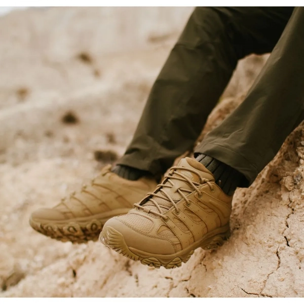 Кросівки Merrell Moab 3 Tactical - фото