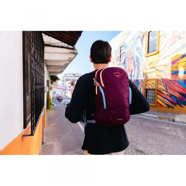 Рюкзак Osprey Daylite - фото