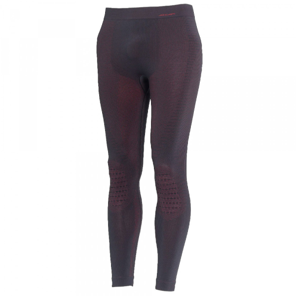 Термоштани чоловічі Accapi Polar Bear New - фото-1