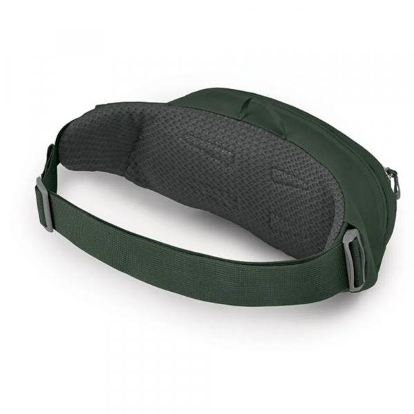 Поясна сумка Osprey Daylite Waist - фото