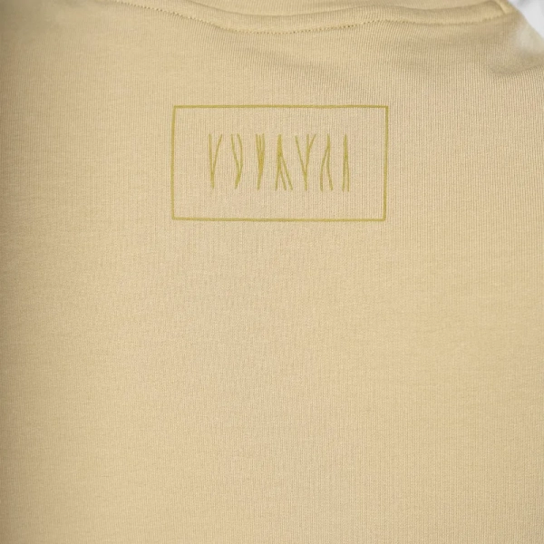 Светр Salewa Fanes Dry Pullover Wmn - фото