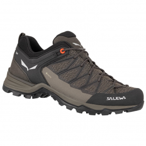 Кросівки Salewa MS MTN Trainer Lite GTX - фото