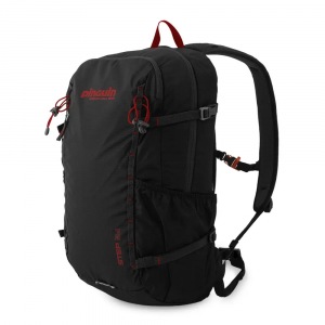 Рюкзак Pinguin Step 24 2023 - фото