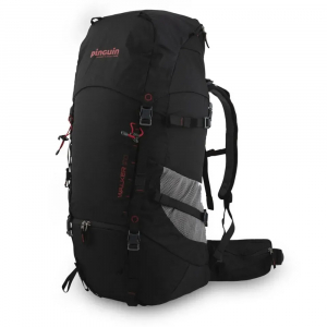 Рюкзак Pinguin Walker 50 2020 - фото